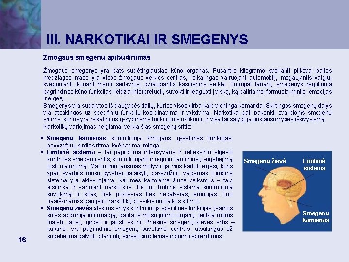 III. NARKOTIKAI IR SMEGENYS Žmogaus smegenų apibūdinimas Žmogaus smegenys yra pats sudėtingiausias kūno organas.