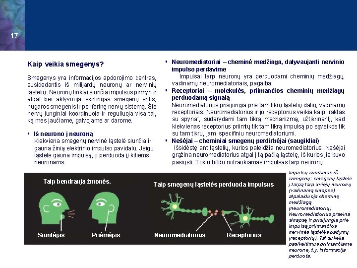 17 Kaip veikia smegenys? Smegenys yra informacijos apdorojimo centras, susidedantis iš milijardų neuronų ar
