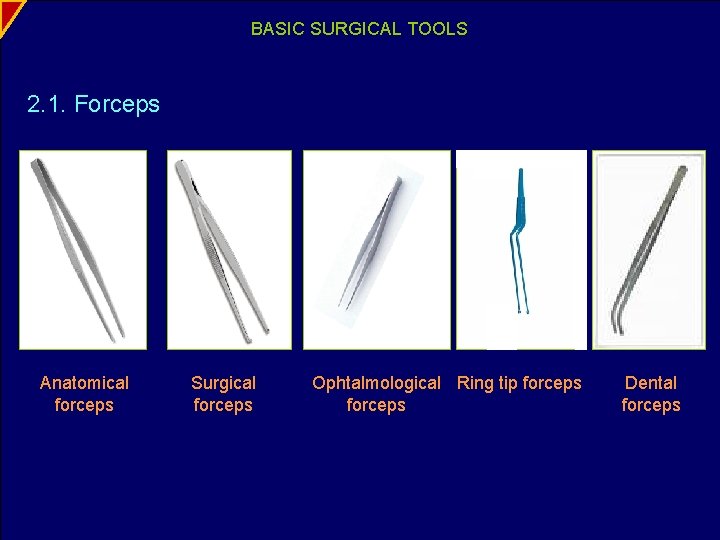 BASIC SURGICAL TOOLS 2. 1. Forceps Anatomical forceps Surgical forceps Ophtalmological Ring tip forceps