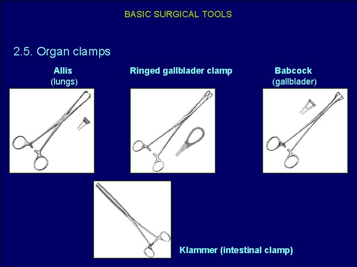 BASIC SURGICAL TOOLS 2. 5. Organ clamps Allis (lungs) Ringed gallblader clamp Babcock (gallblader)