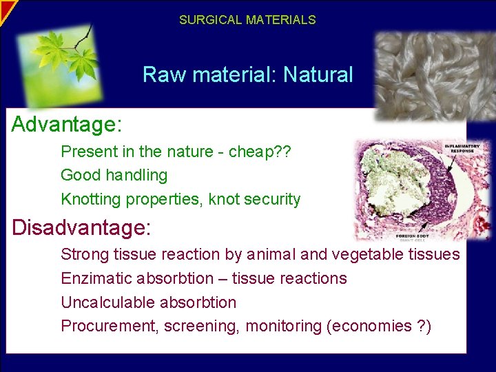 SURGICAL MATERIALS Raw material: Natural Advantage: Present in the nature - cheap? ? Good