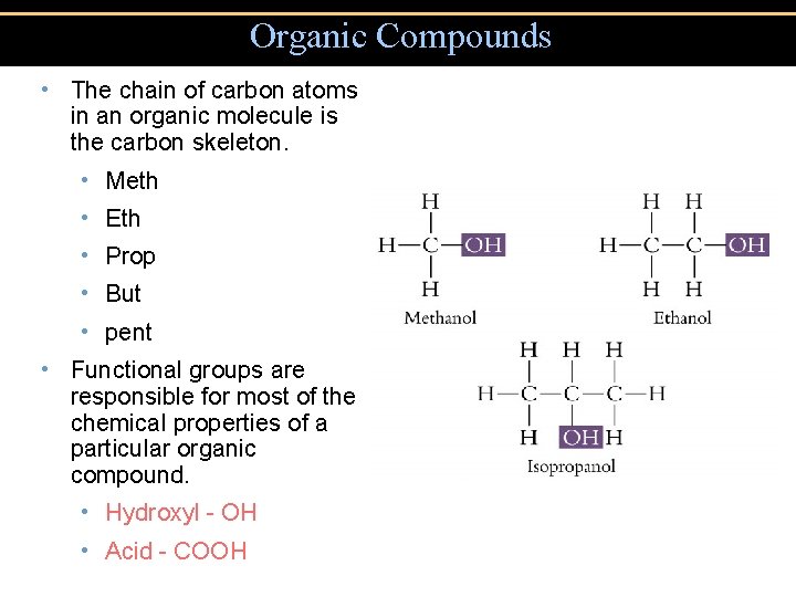 Organic Compounds • The chain of carbon atoms in an organic molecule is the