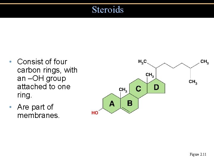 Steroids • Consist of four carbon rings, with an –OH group attached to one