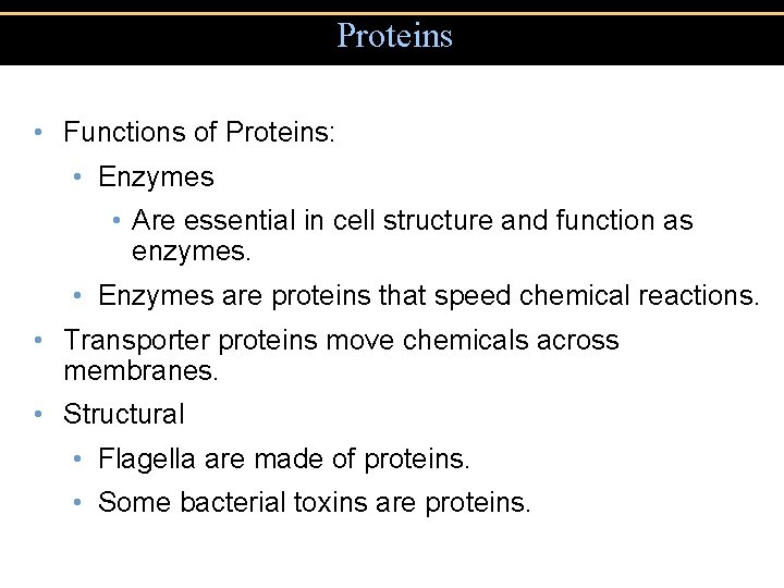 Proteins • Functions of Proteins: • Enzymes • Are essential in cell structure and