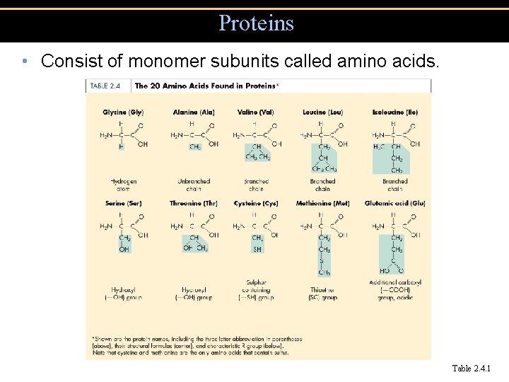 Proteins • Consist of monomer subunits called amino acids. Table 2. 4. 1 