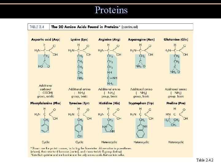 Proteins Table 2. 4. 2 