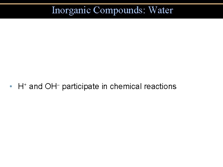 Inorganic Compounds: Water • H+ and OH participate in chemical reactions 