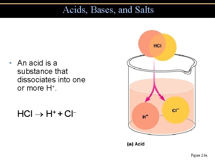 Acids, Bases, and Salts • An acid is a substance that dissociates into one