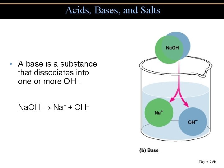 Acids, Bases, and Salts • A base is a substance that dissociates into one