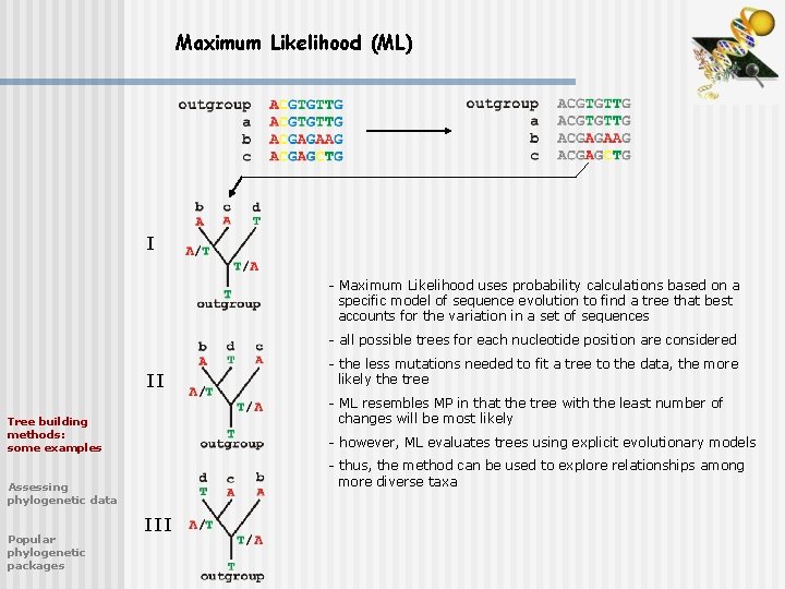 Maximum Likelihood (ML) I - Maximum Likelihood uses probability calculations based on a specific