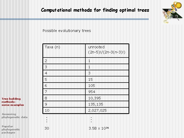 Computational methods for finding optimal trees Assessing phylogenetic data Popular phylogenetic packages unrooted (2