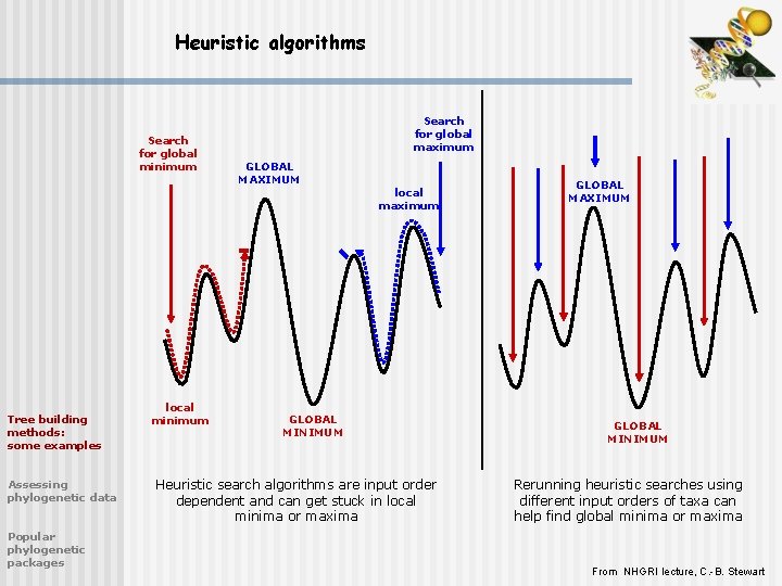 Heuristic algorithms Search for global minimum Tree building methods: some examples Assessing phylogenetic data
