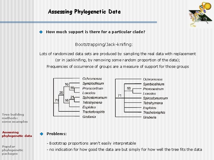 Assessing Phylogenetic Data How much support is there for a particular clade? Bootstrapping/Jack-knifing: Lots