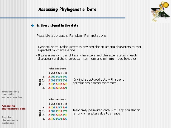 Assessing Phylogenetic Data Is there signal in the data? Possible approach: Random Permutations -