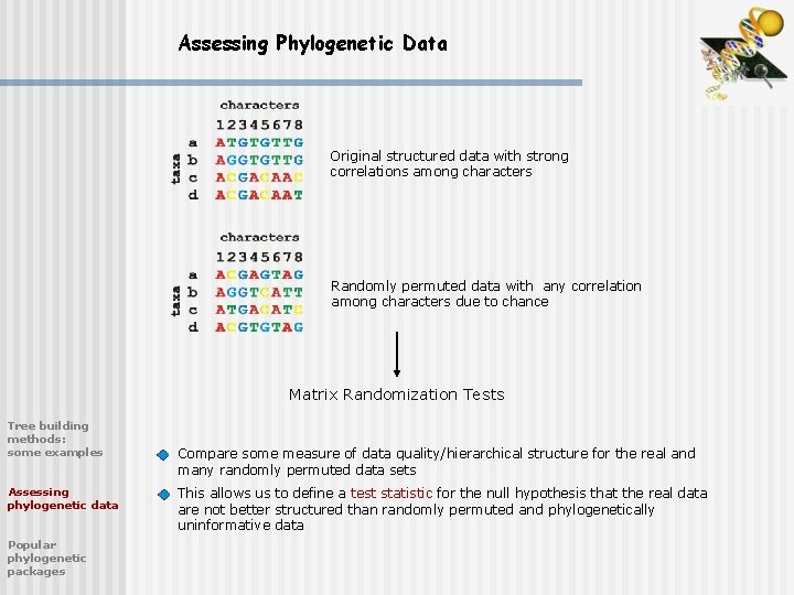 Assessing Phylogenetic Data Original structured data with strong correlations among characters Randomly permuted data