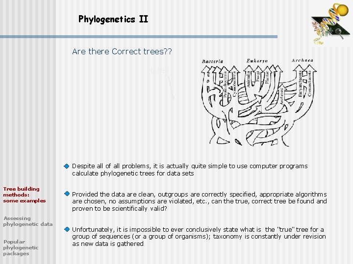 Phylogenetics II Are there Correct trees? ? helix sheet Despite all of all problems,