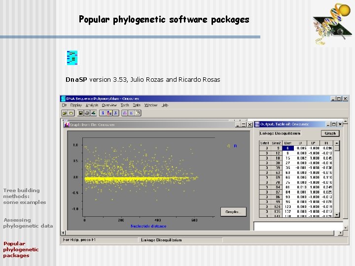 Popular phylogenetic software packages Dna. SP version 3. 53, Julio Rozas and Ricardo Rosas