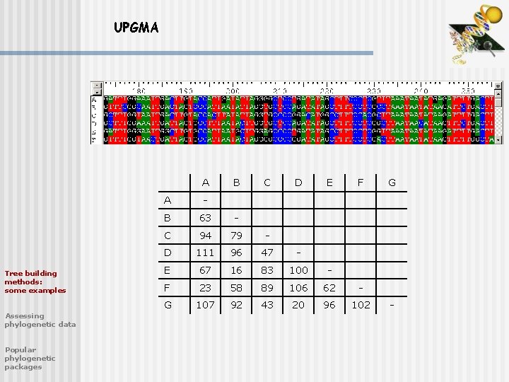 UPGMA A Tree building methods: some examples Assessing phylogenetic data Popular phylogenetic packages B