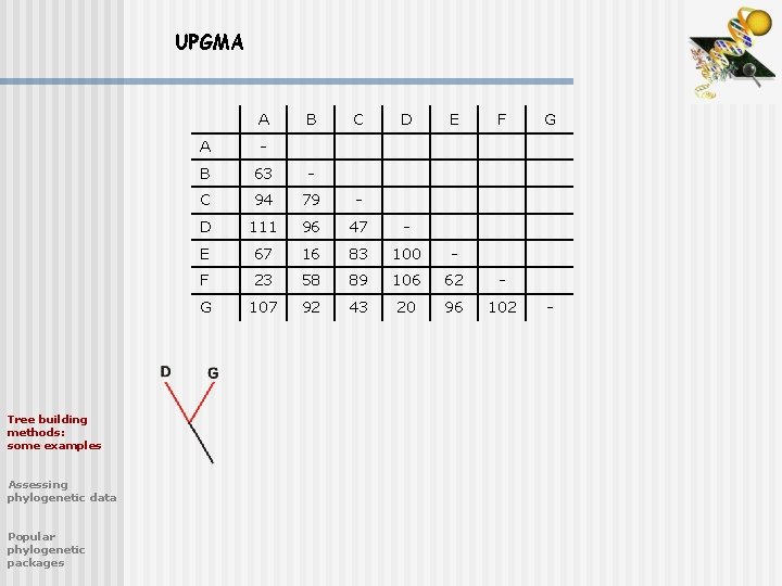 UPGMA A Tree building methods: some examples Assessing phylogenetic data Popular phylogenetic packages B