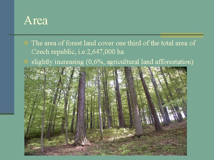 Area n The area of forest land cover one third of the total area