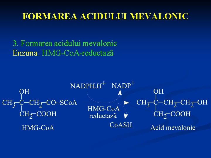 FORMAREA ACIDULUI MEVALONIC 3. Formarea acidului mevalonic Enzima: HMG-Co. A-reductază 