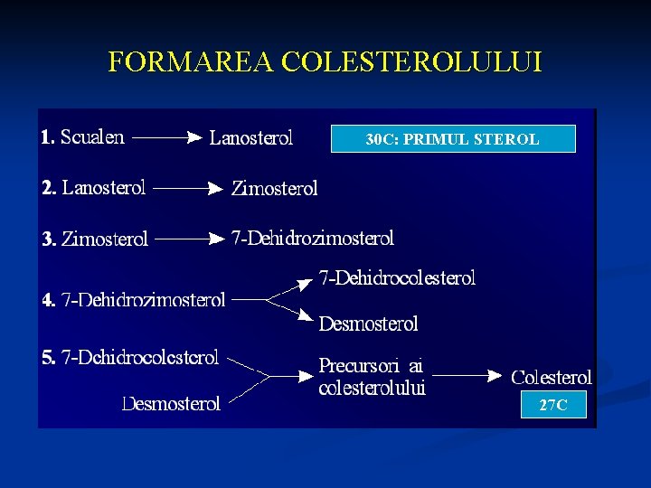 FORMAREA COLESTEROLULUI 30 C: PRIMUL STEROL 27 C 