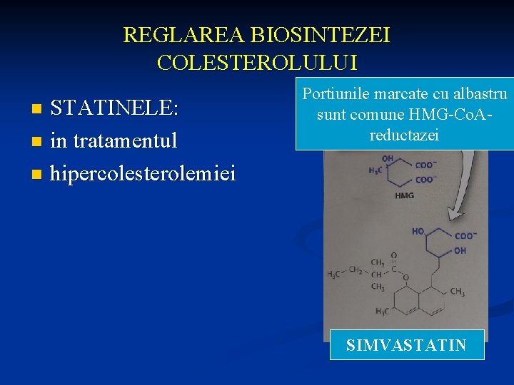 REGLAREA BIOSINTEZEI COLESTEROLULUI STATINELE: n in tratamentul n hipercolesterolemiei n Portiunile marcate cu albastru