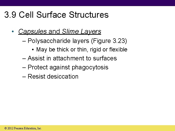 3. 9 Cell Surface Structures • Capsules and Slime Layers – Polysaccharide layers (Figure