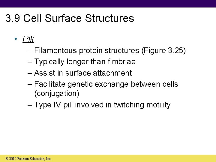 3. 9 Cell Surface Structures • Pili – Filamentous protein structures (Figure 3. 25)