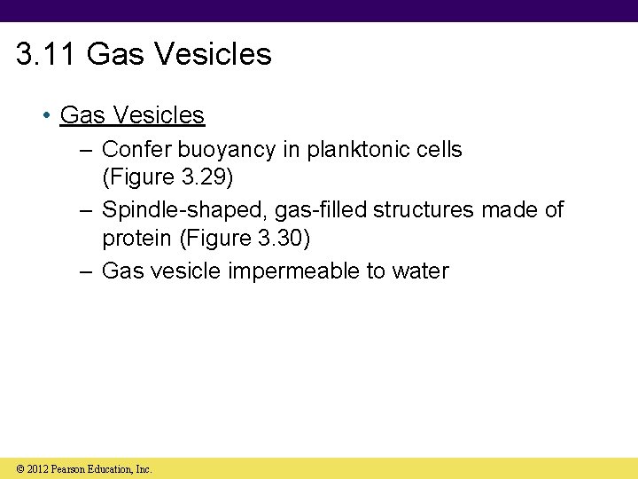 3. 11 Gas Vesicles • Gas Vesicles – Confer buoyancy in planktonic cells (Figure