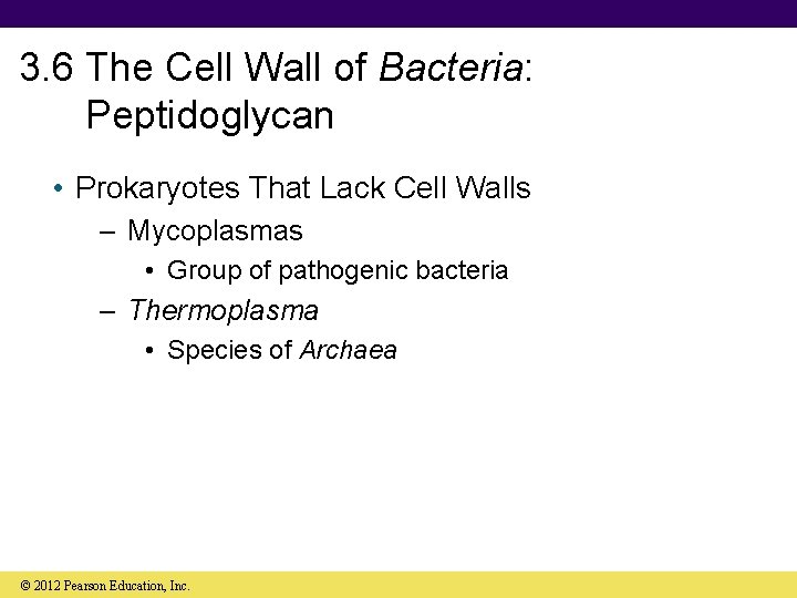 3. 6 The Cell Wall of Bacteria: Peptidoglycan • Prokaryotes That Lack Cell Walls