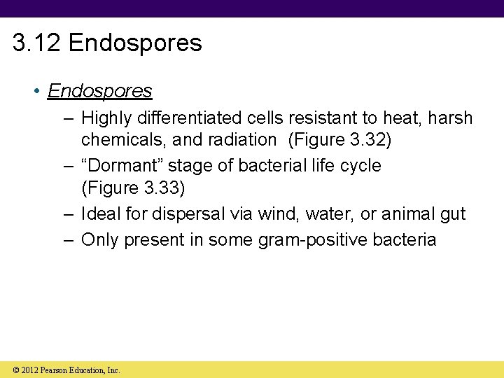 3. 12 Endospores • Endospores – Highly differentiated cells resistant to heat, harsh chemicals,