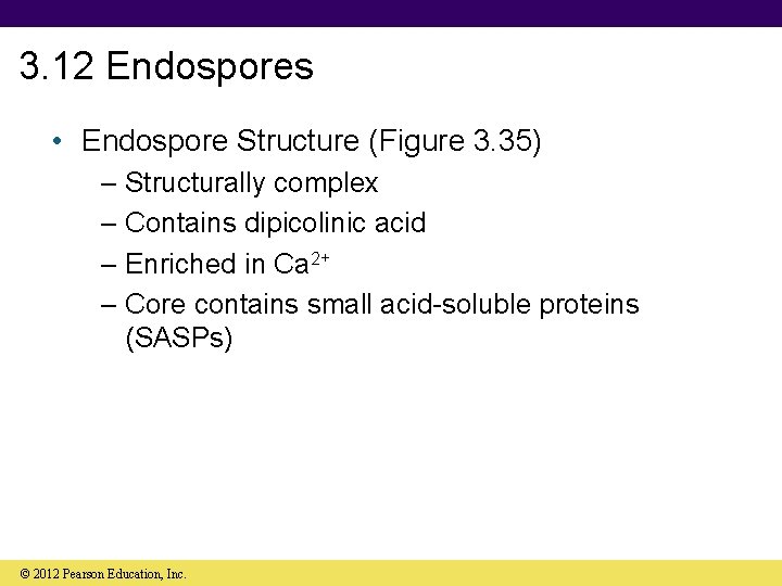3. 12 Endospores • Endospore Structure (Figure 3. 35) – Structurally complex – Contains