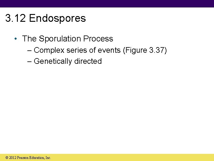 3. 12 Endospores • The Sporulation Process – Complex series of events (Figure 3.