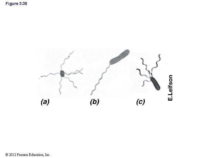 Figure 3. 38 © 2012 Pearson Education, Inc. 