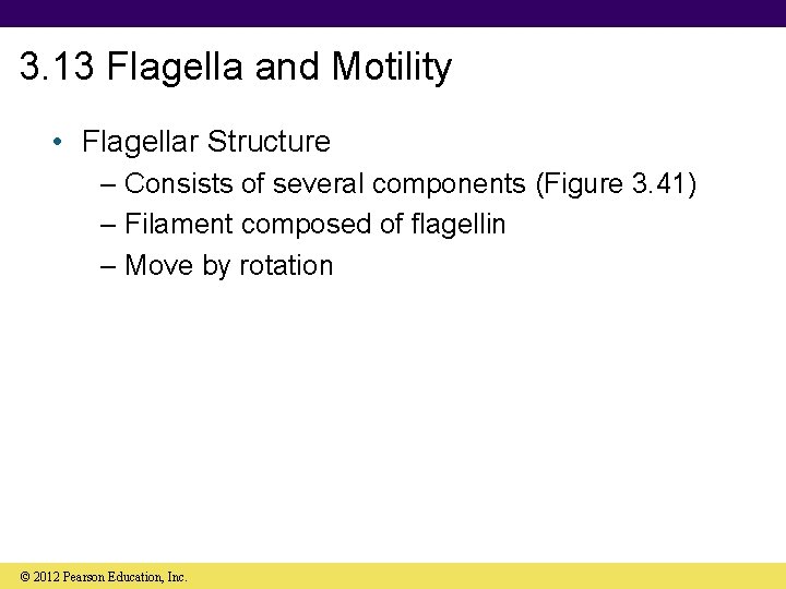 3. 13 Flagella and Motility • Flagellar Structure – Consists of several components (Figure