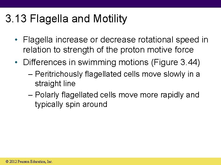 3. 13 Flagella and Motility • Flagella increase or decrease rotational speed in relation