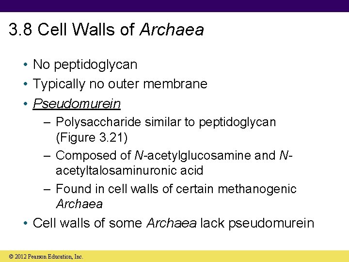 3. 8 Cell Walls of Archaea • No peptidoglycan • Typically no outer membrane