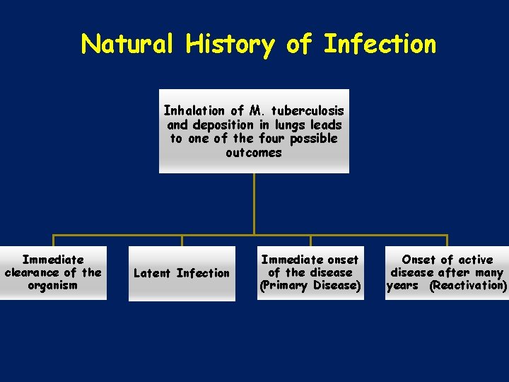 Natural History of Infection Inhalation of M. tuberculosis and deposition in lungs leads to