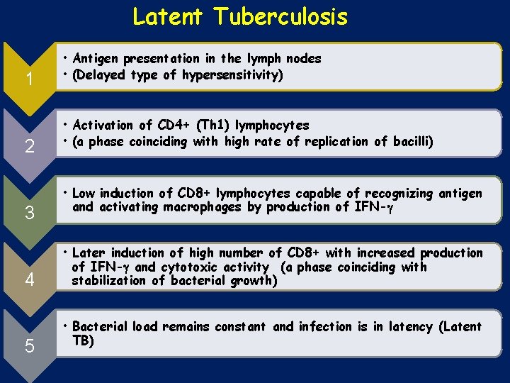 Latent Tuberculosis 1 2 3 4 5 • Antigen presentation in the lymph nodes