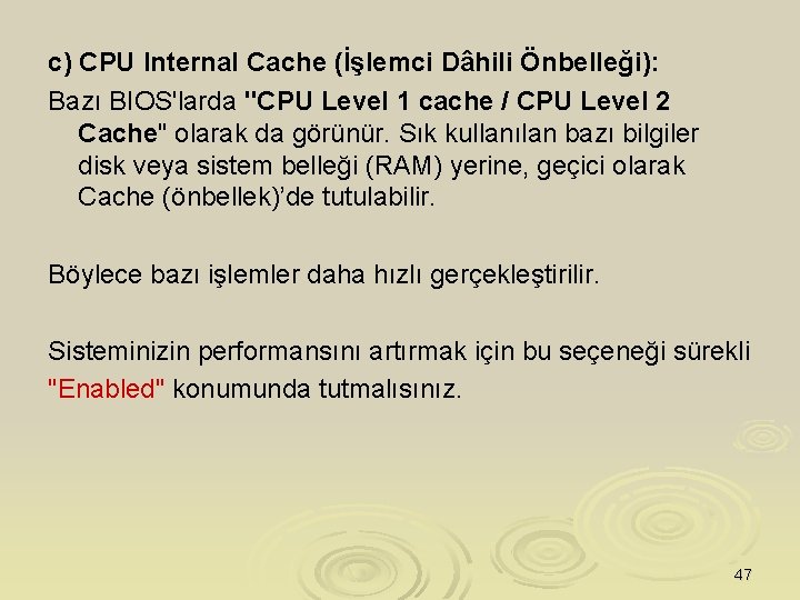 c) CPU Internal Cache (İşlemci Dâhili Önbelleği): Bazı BIOS'larda "CPU Level 1 cache /