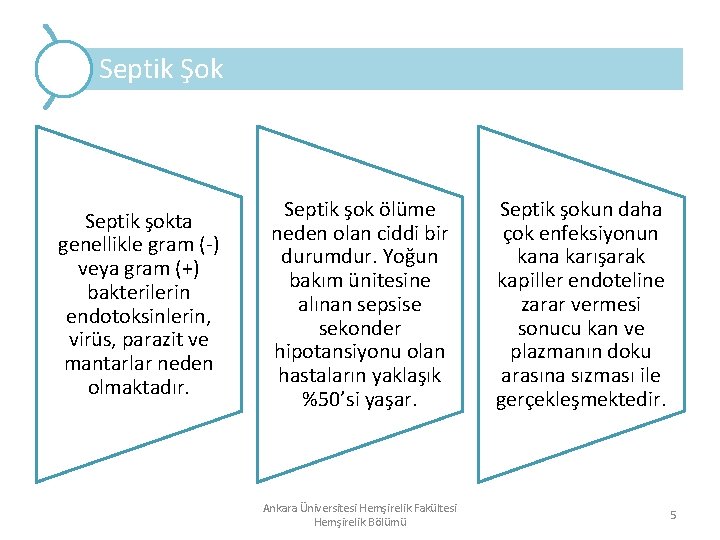 Septik Şok Septik şokta genellikle gram (-) veya gram (+) bakterilerin endotoksinlerin, virüs, parazit