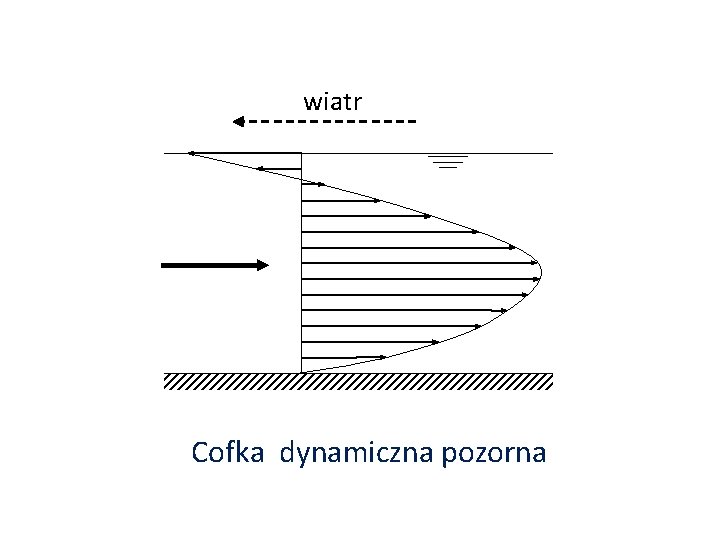 wiatr Cofka dynamiczna pozorna 