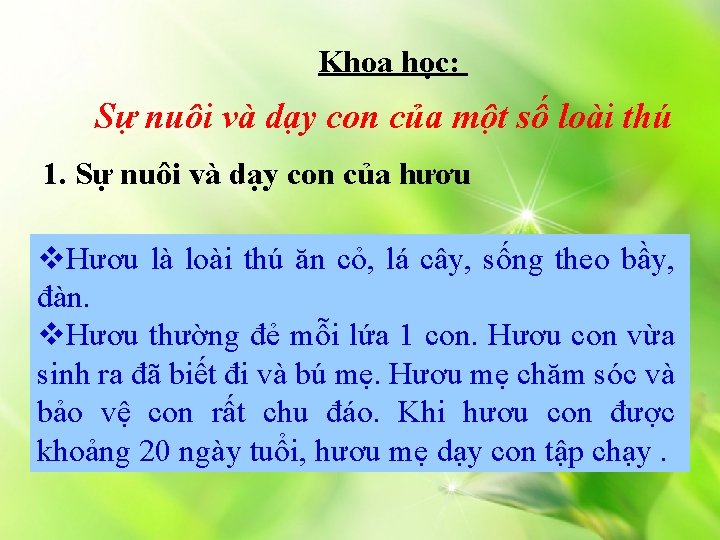 Khoa học: Sự nuôi và dạy con của một số loài thú 1. Sự