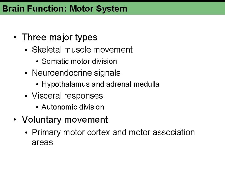 Brain Function: Motor System • Three major types • Skeletal muscle movement • Somatic