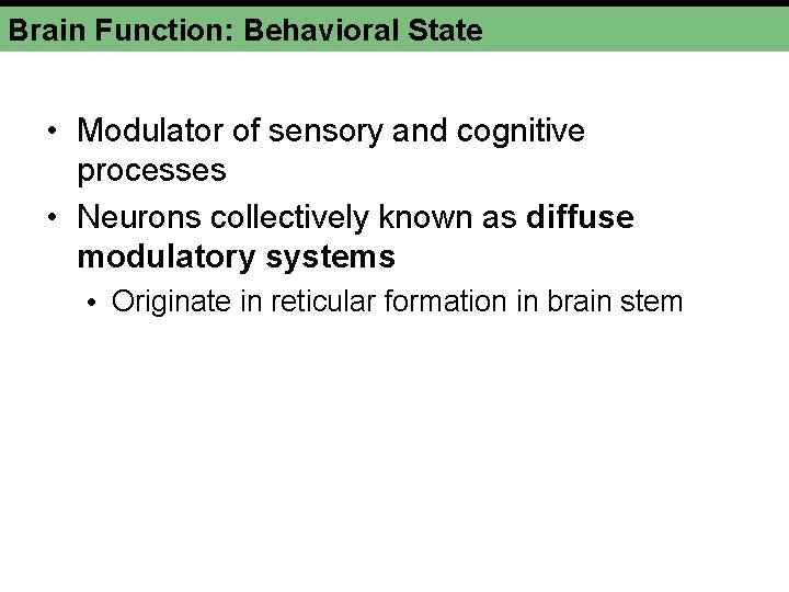 Brain Function: Behavioral State • Modulator of sensory and cognitive processes • Neurons collectively