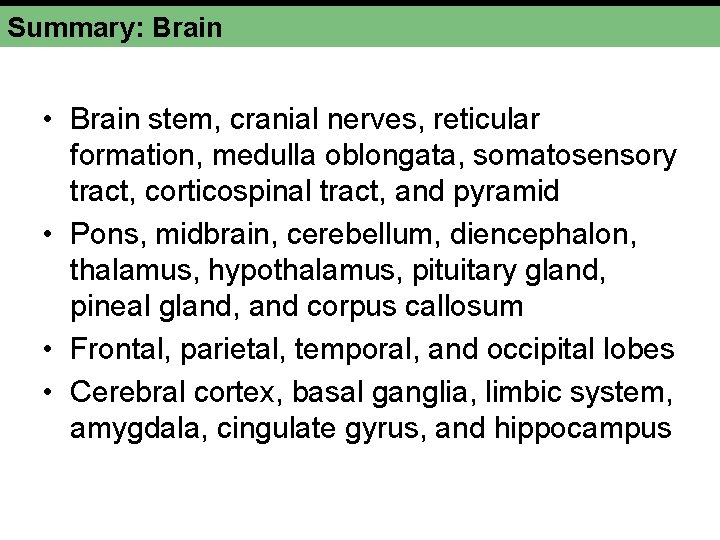 Summary: Brain • Brain stem, cranial nerves, reticular formation, medulla oblongata, somatosensory tract, corticospinal