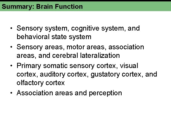 Summary: Brain Function • Sensory system, cognitive system, and behavioral state system • Sensory