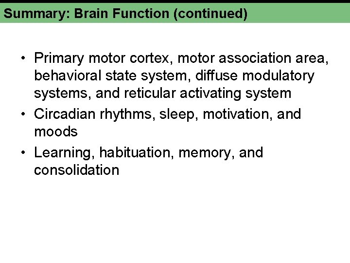 Summary: Brain Function (continued) • Primary motor cortex, motor association area, behavioral state system,