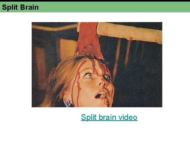 Split Brain Split brain video 